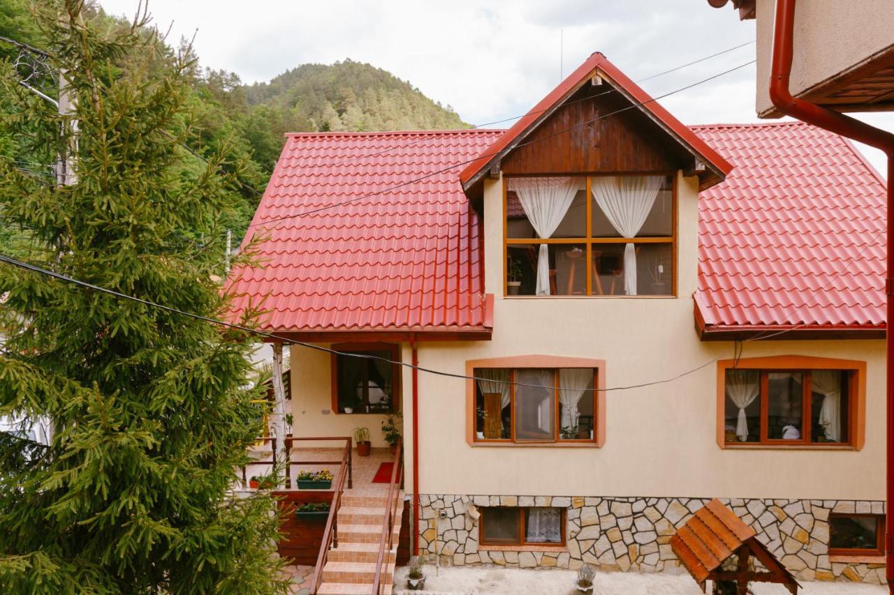 Pensiunea LUKA Slănic Moldova Exterior foto